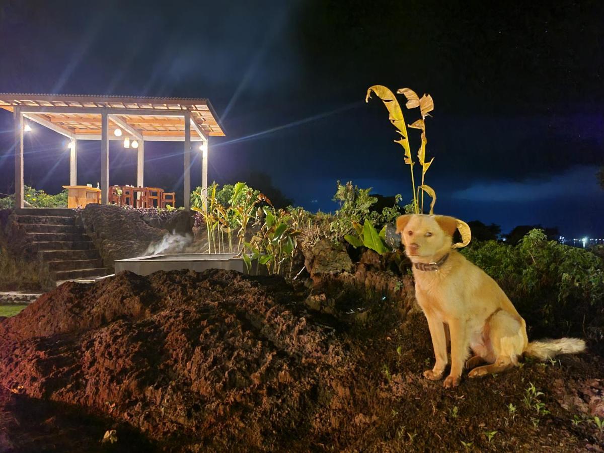 Alam Bali Lake View Bangli Kültér fotó