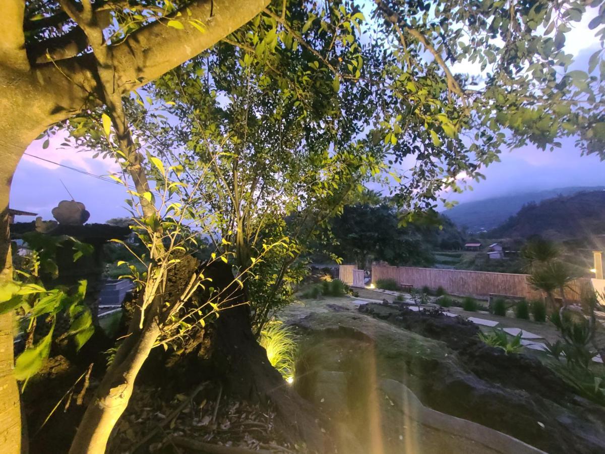 Alam Bali Lake View Bangli Kültér fotó